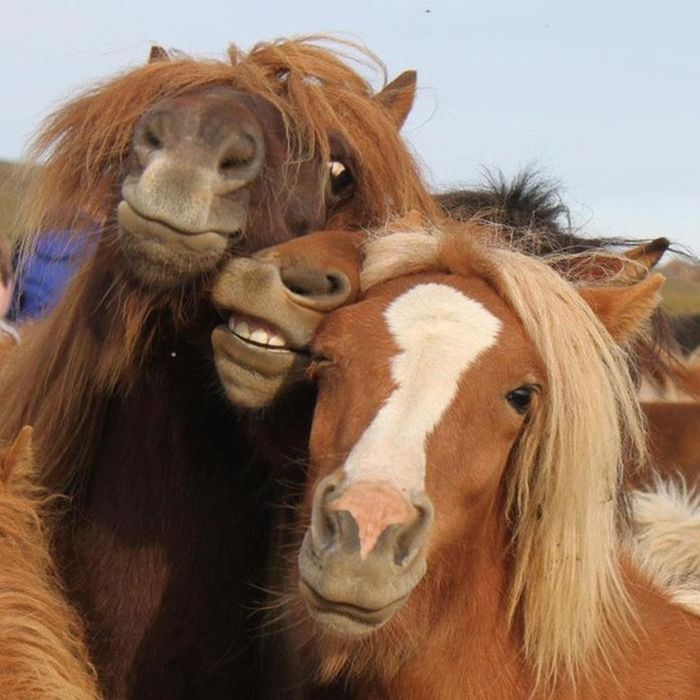 selfie.jpg