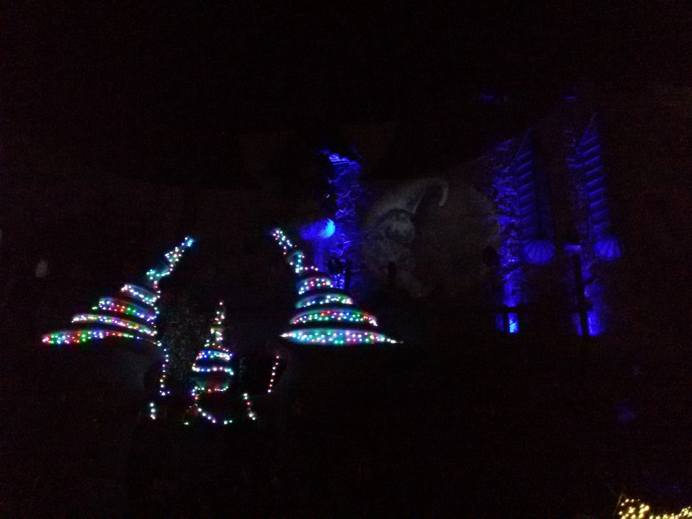 20161119_190355.jpg