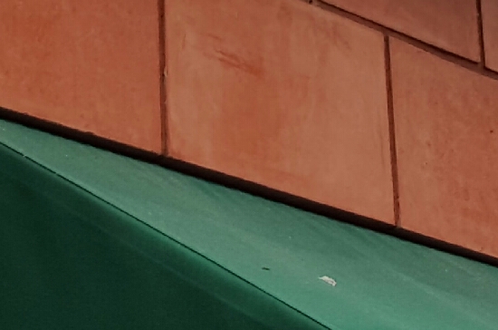 20161121_205115.jpg