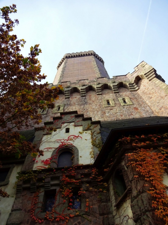 DSC01237.JPG