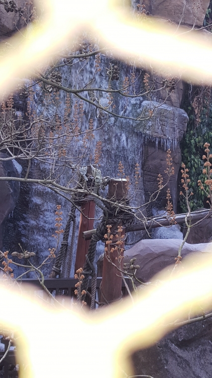 20161130_142830.jpg