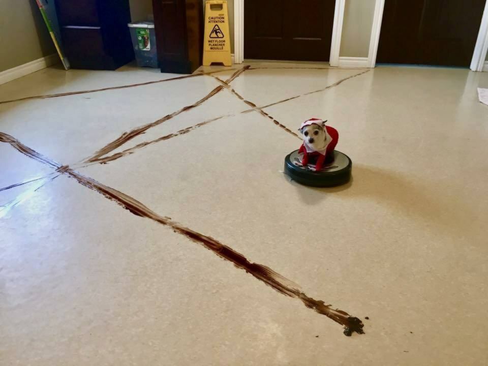 cleaning.jpg