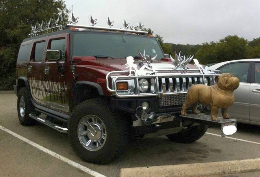 doggy1.jpg