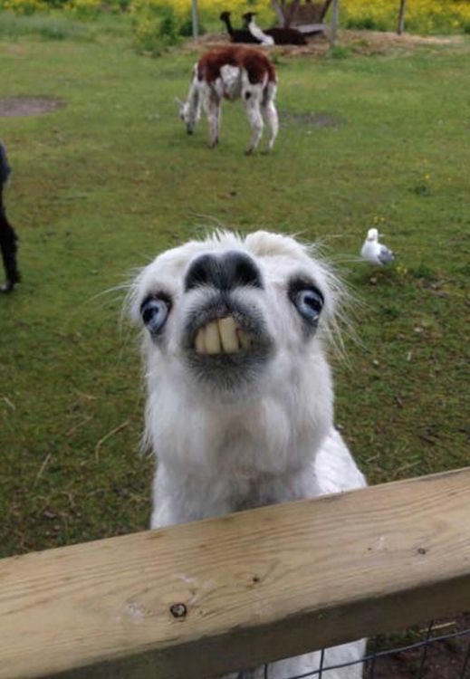hello1.jpg