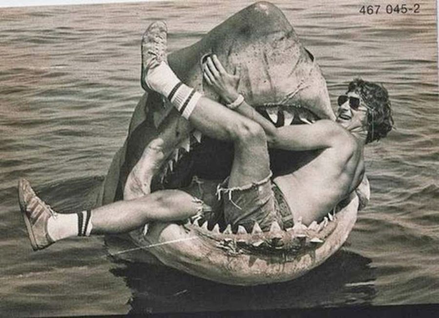 jaws.jpg