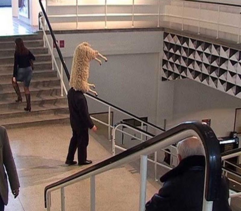shopping3.jpg