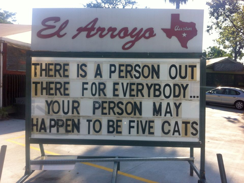 austin2.jpg