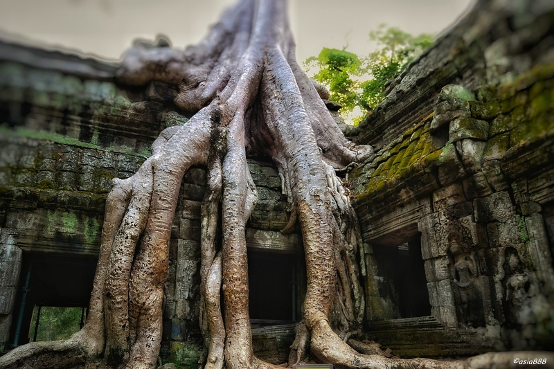 589ac6decd7dc_TaProhm.jpg.9246f489cefae6686ca2509c47d12473.jpg