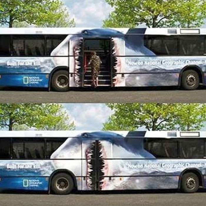 bus2.jpg.ba7e86f2e5468bbdf7e41787a46c42f7.jpg