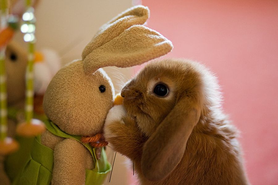 love2.jpg.18306e5f06857b2d80aa1c86a5497ef7.jpg
