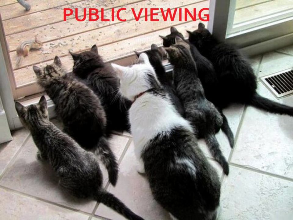 publicviewing.jpg.6c32aea8d337047a1e755fce475cefc3.jpg