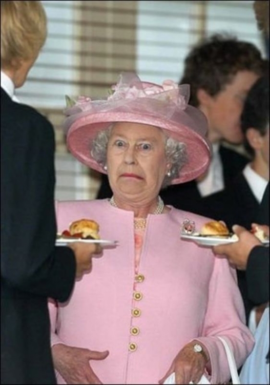 queen.thumb.jpg.4f8c34e010fd0a305414e22db07c2717.jpg