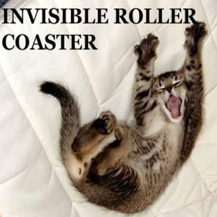 rollercoaster.jpg.cdf2bc1410d73fd3d132b0011d2f49fe.jpg