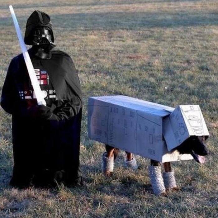 vader2.jpg.338b4d0d161350f029ade73d95b2283a.jpg
