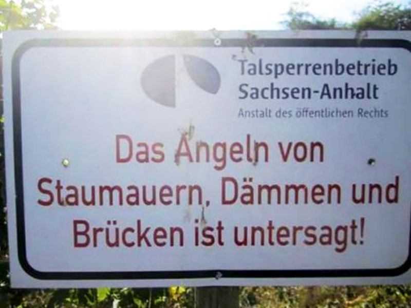 Angeln.jpg.1d8be4b14a5a93d4fd69a2df3d96954b.jpg