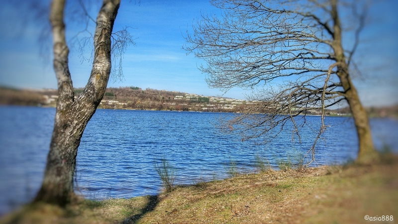 Bostalsee.jpg.1967777ae975370d0730caeb090f1058.jpg