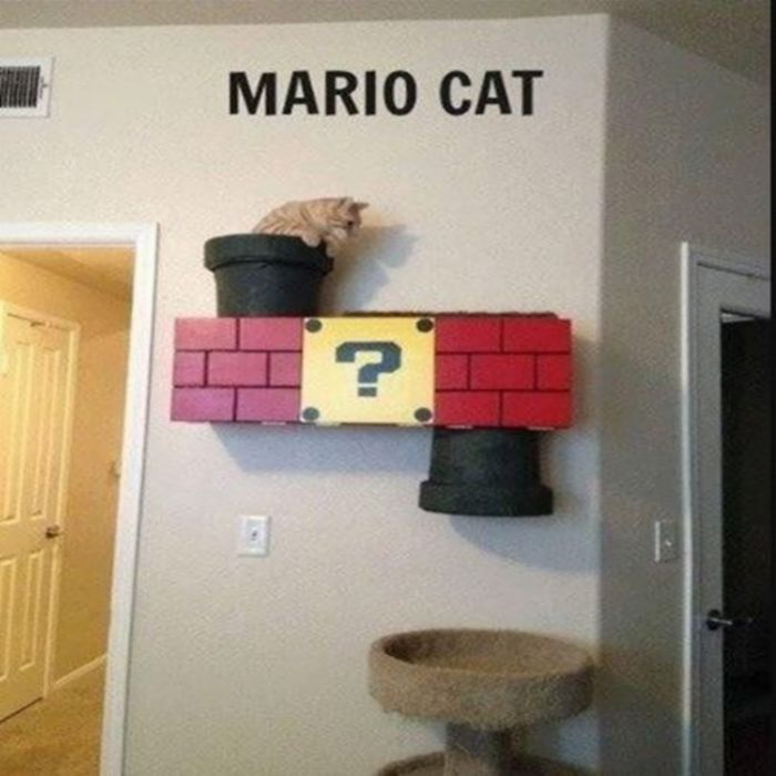 Mariocat.jpg.036c136264ac3c9e930315a4c606489c.jpg