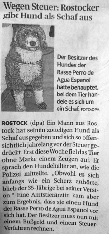 Schaf.thumb.jpg.a1333394f57defbdece87f33b35f6c0c.jpg