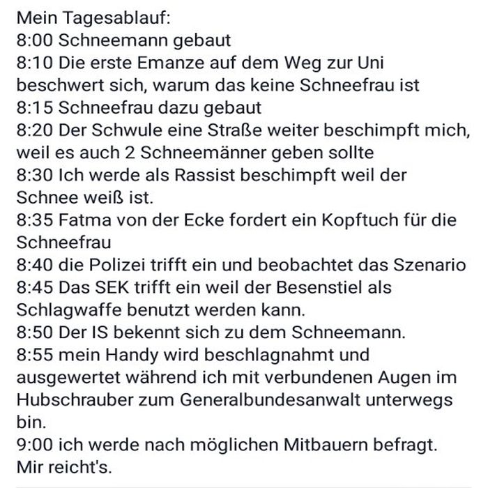 Schneemann1.jpg.9451eaa05cfcb7c72a18bf98f4ca83bd.jpg