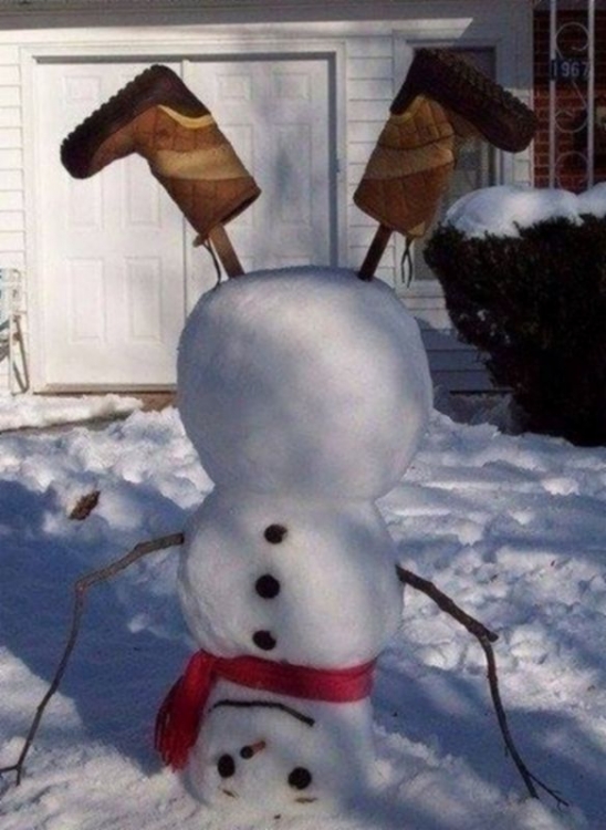 Schneemann2.thumb.jpg.27f872e17c428b1f7e910885b601bbe5.jpg