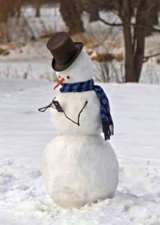 Schneemann3.thumb.jpg.b2836601fedd38b96f46d08db4b809f0.jpg