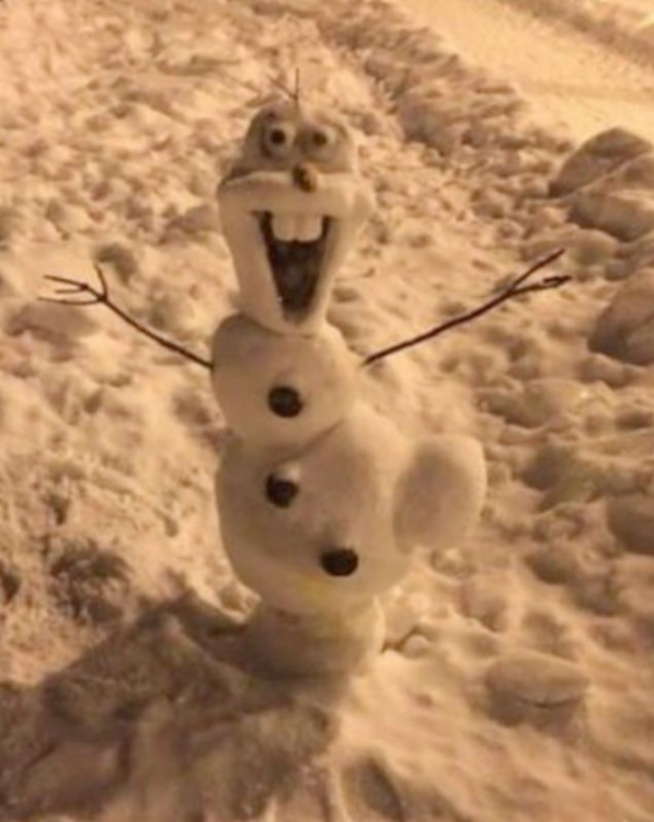 Schneemann4.thumb.jpg.b94fea06d0ff4fbc9fccf9fbea15e9e2.jpg