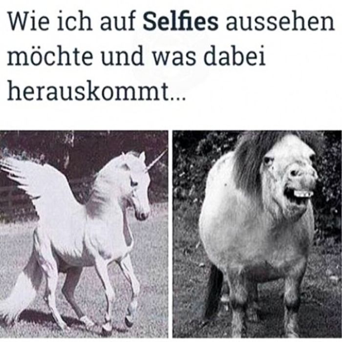 Selfie1.jpg.f5d14f037cda14af5e8fb6f455a441a5.jpg