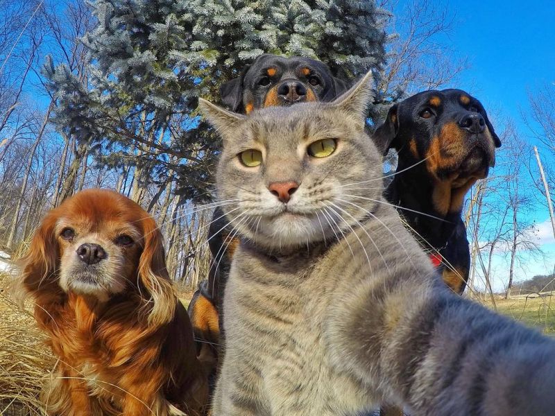 Selfie2.jpg.ae639e13701cbd85d350cd166b20c34b.jpg