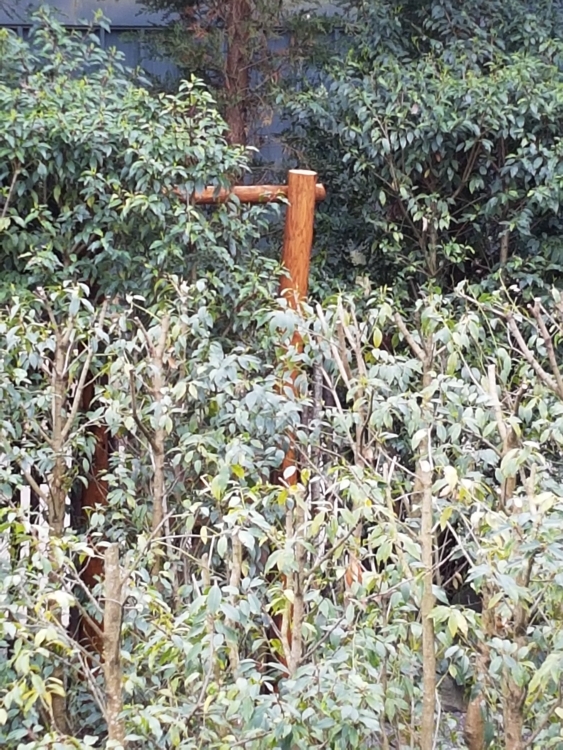 20170401_111314.jpg