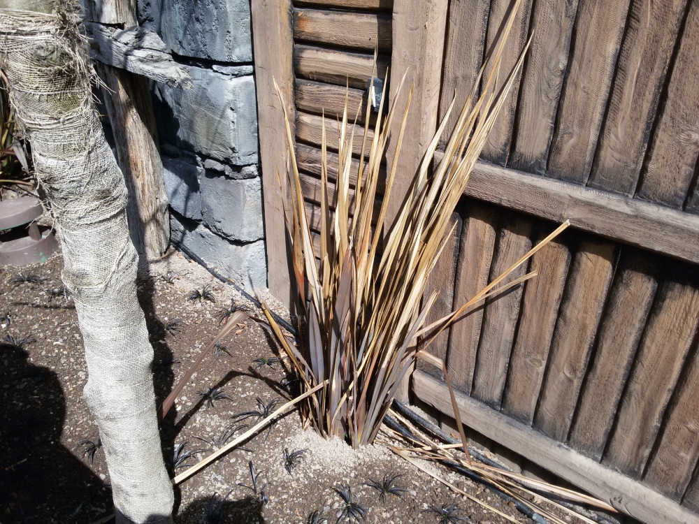 20170422_135920.jpg
