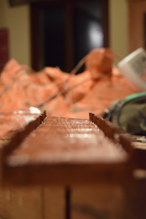 DSC_0354.thumb.jpg.1b4e65c5a155c8eab86a17bdd361c0be.jpg