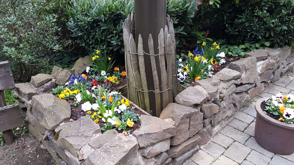 IMG-20170401-WA0013.thumb.jpeg.3775e4bb44605c99a516a6a33fcc2345.jpeg