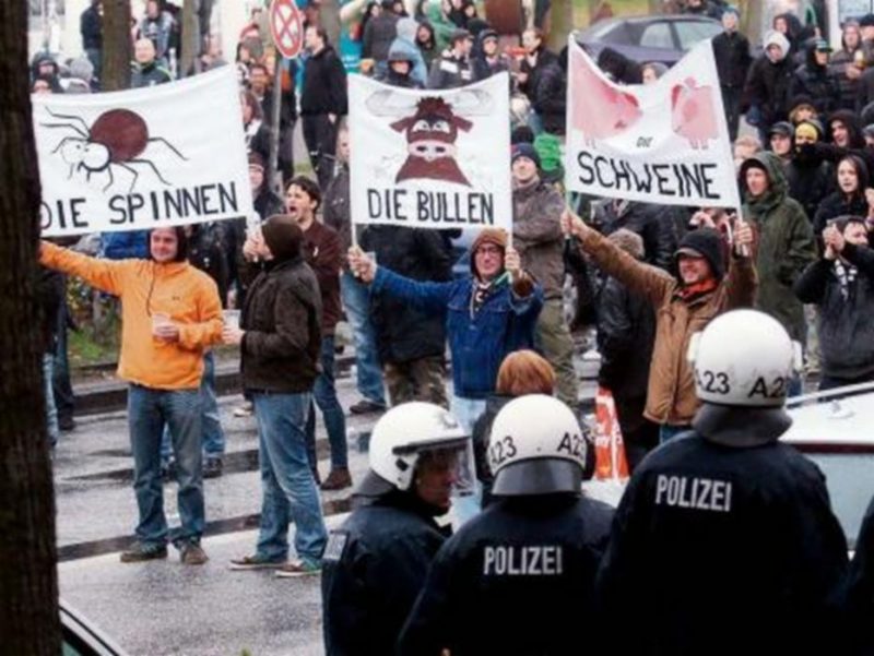 Diespinnen.thumb.jpg.6c6b89c680c62f07d14c9db7a4dde4cd.jpg