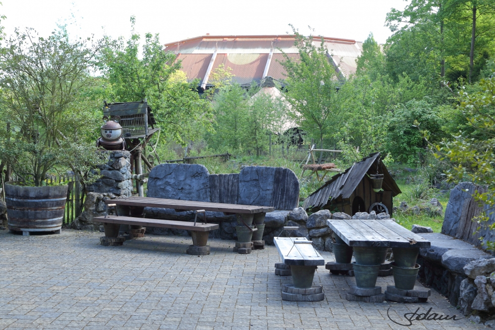 IMG_3117.JPG