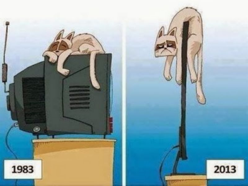 Meow2.jpg.b42cfccfbb77e4a7939f4d482212e3a9.jpg