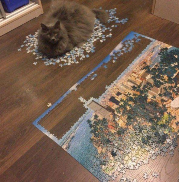 Puzzle.thumb.jpg.fb0c7f78de03036ee3eac6f5be778728.jpg