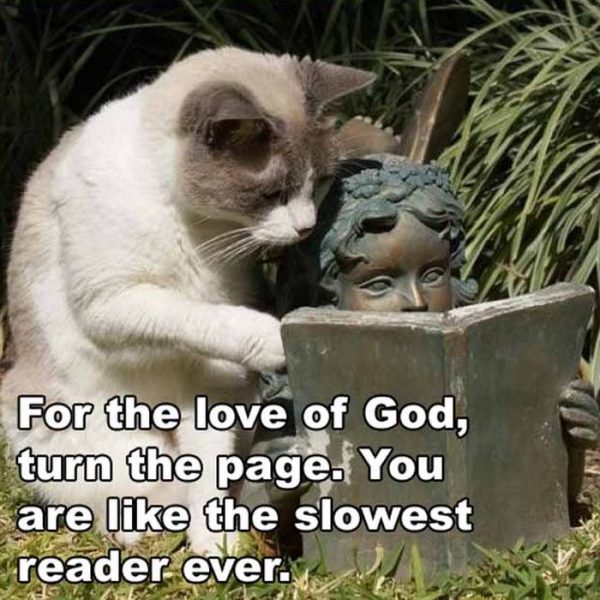 Reader.thumb.jpg.be5f2ab76d55f785b2a30b491f5fe4ef.jpg