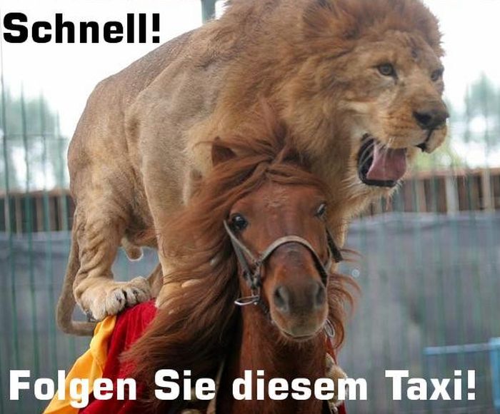 Taxi3.jpg.aed1f2acc2501a7cf3d1bf1593942a0a.jpg