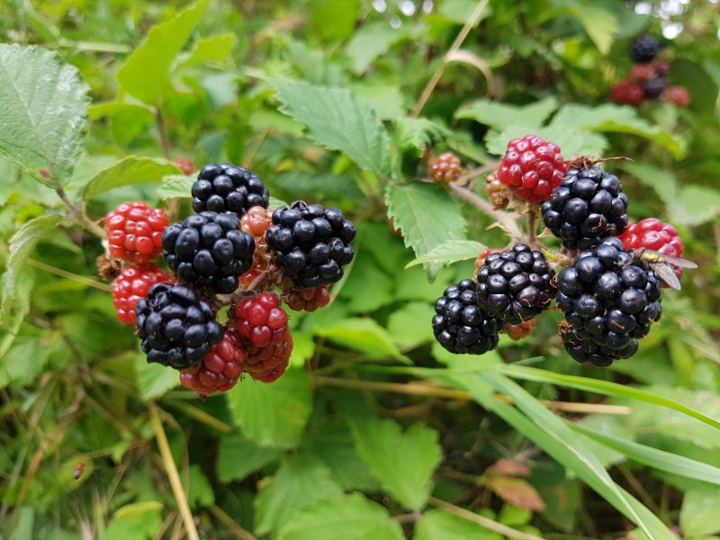 20170803_142158.jpg
