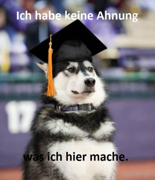 Ahnung.thumb.jpg.ace0831027e6b6a9f7552b18294f37fd.jpg