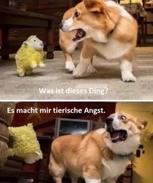 Angst.thumb.jpg.e99bfcaebeaad33819e4b9538724f79b.jpg