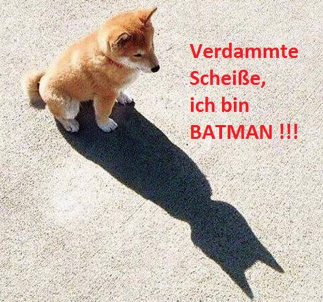 Batman.thumb.jpg.98c267c73656669d6e57019e752fb4dc.jpg