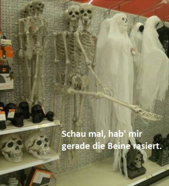 Beine.thumb.jpg.7ce302eb7c5443975966df65be4054a5.jpg