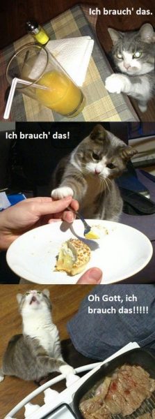 Brauchdas.thumb.jpg.bad5f5003d10bf62fed83c6972a6a7fe.jpg