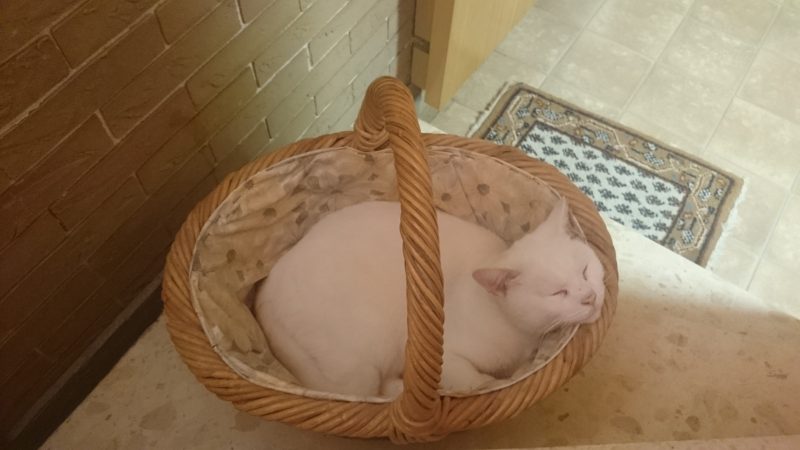 DSC_0001.JPG