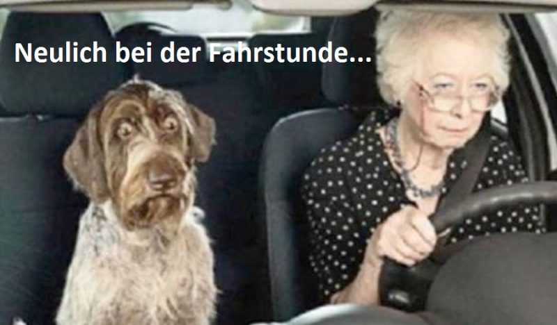 Fahrstunde.thumb.jpg.6c24996392880e46a0a539acd6bc9bd8.jpg