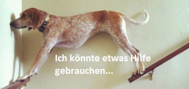 Hilfe1.jpg.cf27436ac042af187c17267aa451058b.jpg