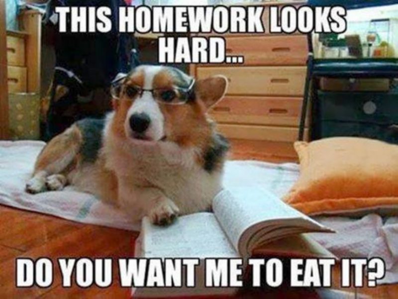 Homework.thumb.jpg.429e6b6be645e231fd17e254e731b475.jpg
