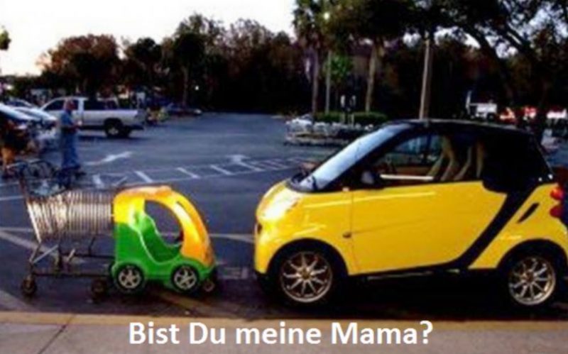 Mama1.thumb.jpg.330f3c4f1b401542879d2b6f182d7a48.jpg