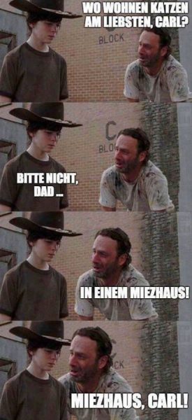 Miezhaus.thumb.jpg.28a99b6d0430982092fdf797f333dee6.jpg